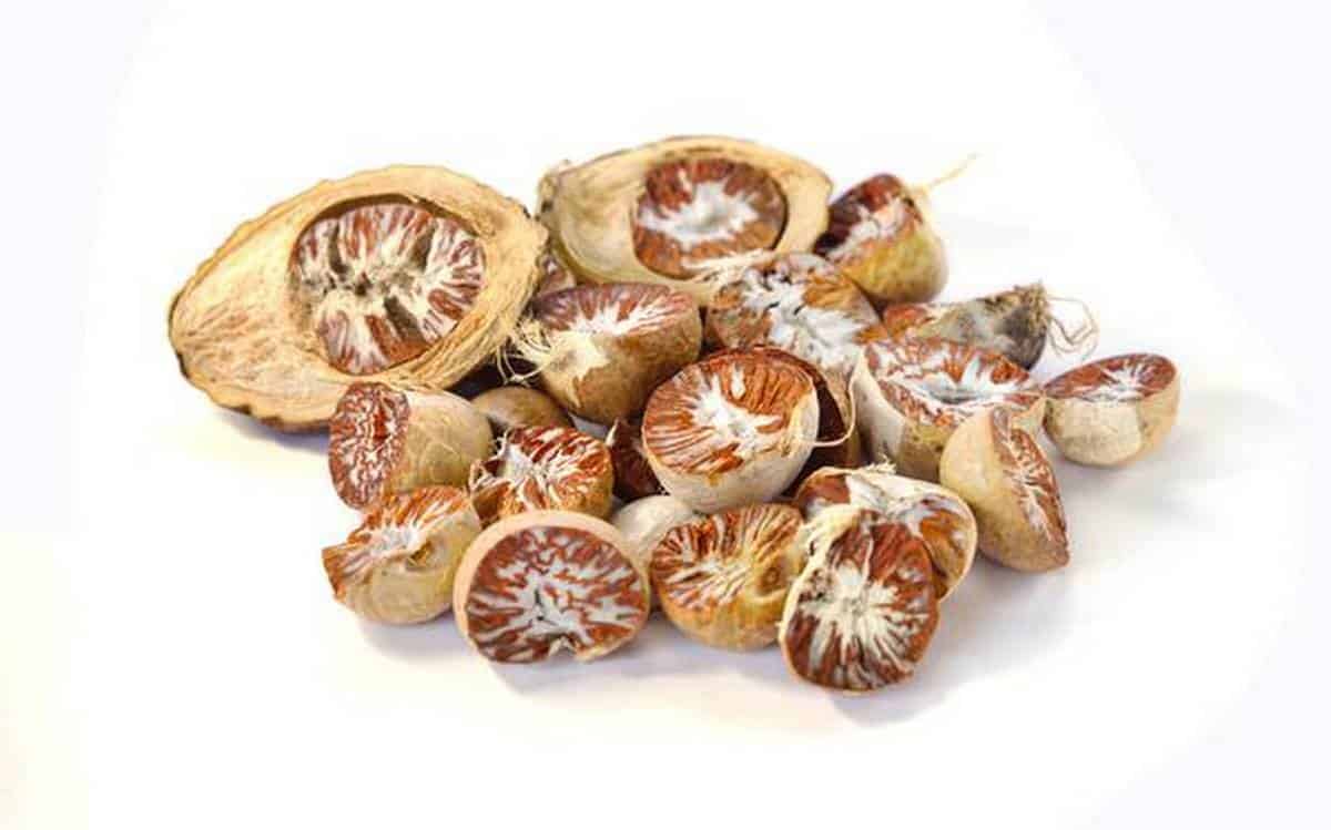 Cau Đắk Lắk – Giá Trị Từ Đất Bazan Và Định Hướng Phát Triển Bền Vững