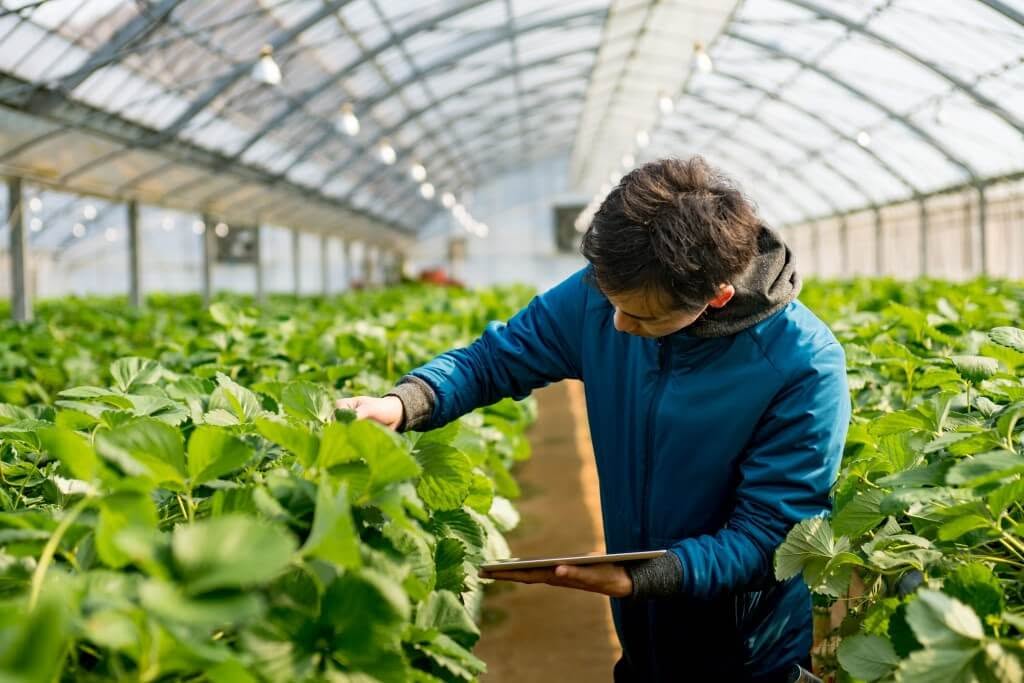 Nhật Ký Canh Tác Dược Liệu: Vì Sao Cần Ghi Chép?