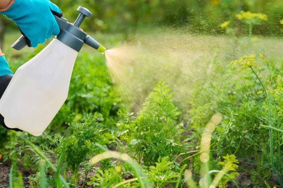 Nhật Ký Canh Tác Dược Liệu: Vì Sao Cần Ghi Chép?