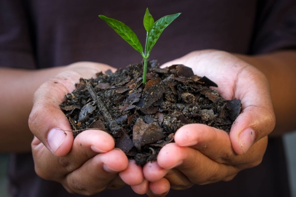 Ứng Dụng Biochar Trong Nông Nghiệp: Đất Tơi Xốp, Giảm Chi Phí Phân Bón